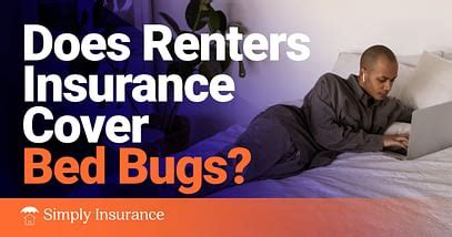 Does State Farm Insurance Cover Bed Bugs